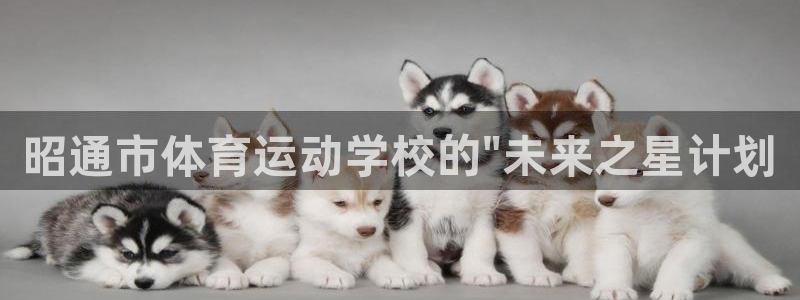 尊龙官方正版app科技：昭通市体育运动学校的\