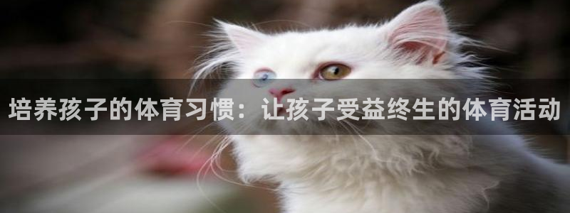 尊龙官方正版app官方：培养孩子的体育习惯：让孩子受