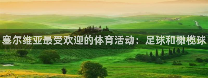 尊龙官网下载平台APP：塞尔维亚最受欢迎的体育活动：