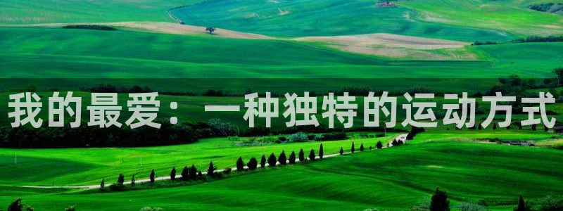 尊龙官网下载招商：我的最爱：一种独特的运动方式