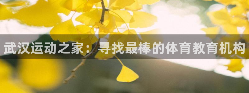 尊龙官方集团官网：武汉运动之家：寻找最棒的体育教育机