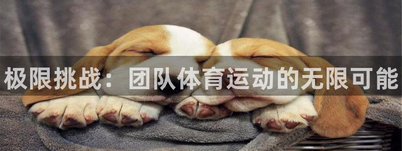 尊龙官方正版app集团logo：极限挑战：团队体育运