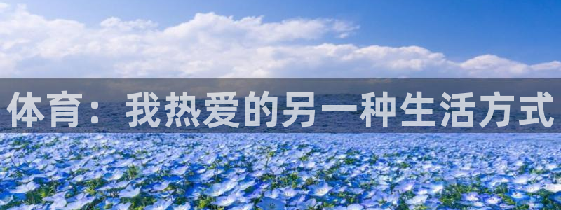 尊龙官方正版app集团：体育：我热爱的另一种生活方式