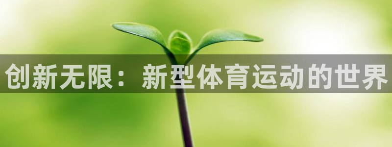 尊龙官方正版app集团官网网址：创新无限：新型体育运动的世界