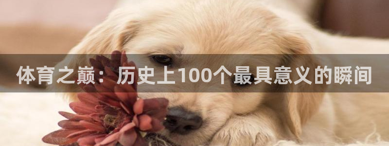 尊龙官网下载平台假的吗是真的吗：体育之巅：历史上100个最具