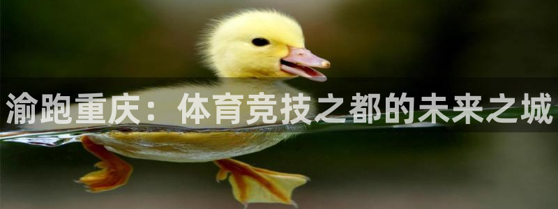 尊龙官网下载招商电话号码：渝跑重庆：体育竞技之都的未