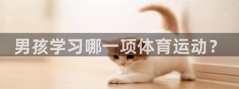 尊龙官方平台体育：男孩学习哪一项体育运动？