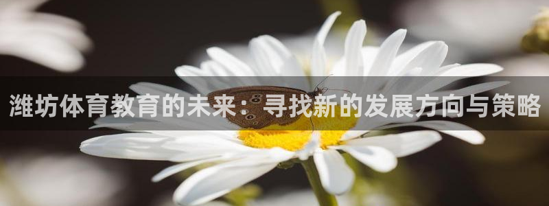 尊龙官方正版app娱乐首页官网下载：潍坊体育教育的未来：寻找