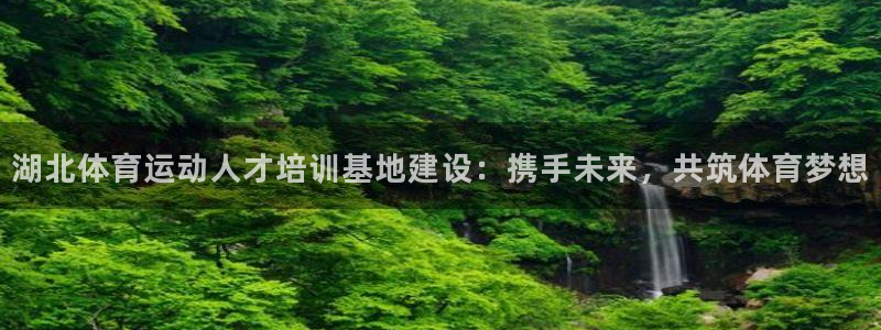 尊龙官方正版app集团官网首页：湖北体育运动人才培训