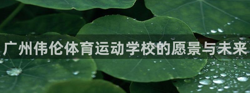 尊龙官网下载是干嘛的公司：广州伟伦体育运动学校的愿景与未来