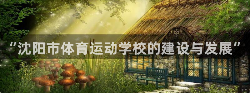 尊龙官方正版app新能源：“沈阳市体育运动学校的建设