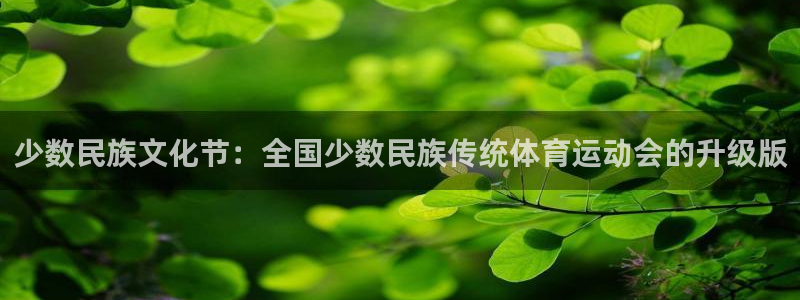 尊龙官网下载平台是正规平台吗安全吗：少数民族文化节：