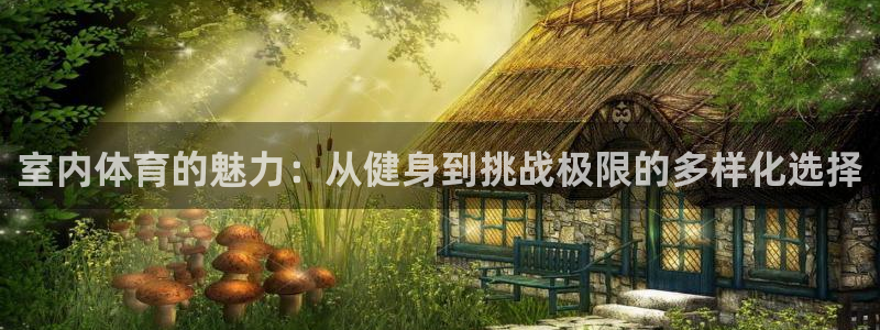 尊龙官网下载招商：室内体育的魅力：从健身到挑战极限的多样化选