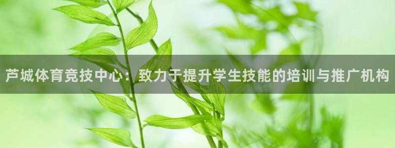 尊龙官网下载平台APP：芦城体育竞技中心：致力于提升
