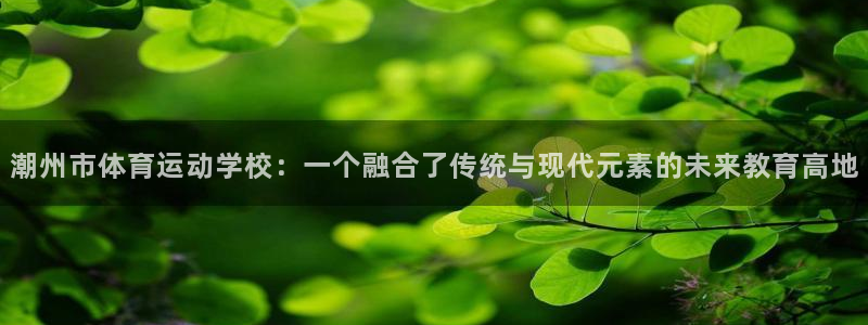 尊龙官方正版app集团E.ON：潮州市体育运动学校：一个融合