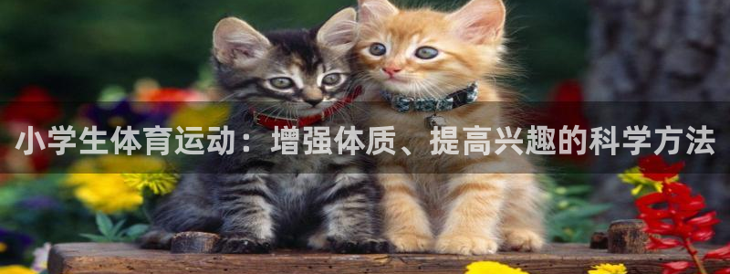 尊龙官方正版app娱乐是那个系列的台子：小学生体育运动：增强