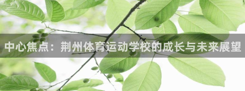 尊龙官网下载招商电话地址查询：中心焦点：荆州体育运动学校的成