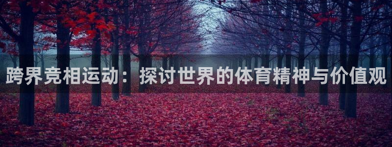 尊龙官方正版app代理：跨界竞相运动：探讨世界的体育精神与价