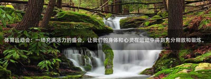 尊龙官方正版app开户：体育运动会：一场充满活力的盛会，让我