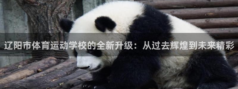 尊龙官方正版app集团简介