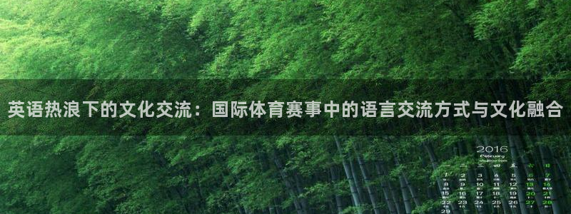 尊龙官网下载平台注册：英语热浪下的文化交流：国际体育赛事中的