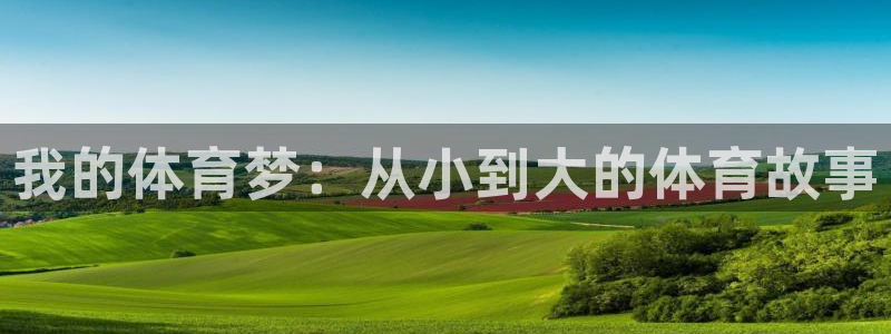 尊龙官网下载平台注册：我的体育梦：从小到大的体育故事