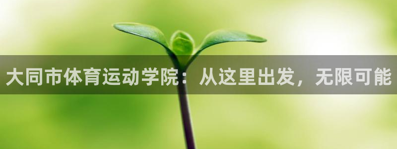 尊龙官方正版app集团官网首页