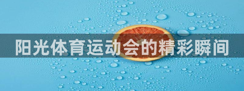 德国尊龙官方正版app集团：阳光体育运动会的精彩瞬间