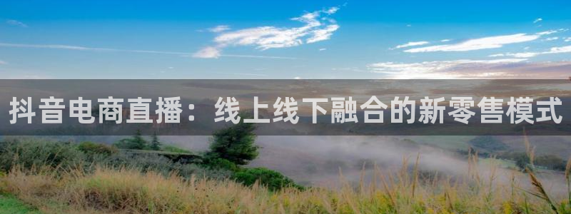 熊猫主题：抖音电商直播：线上线下融合的新零售模式