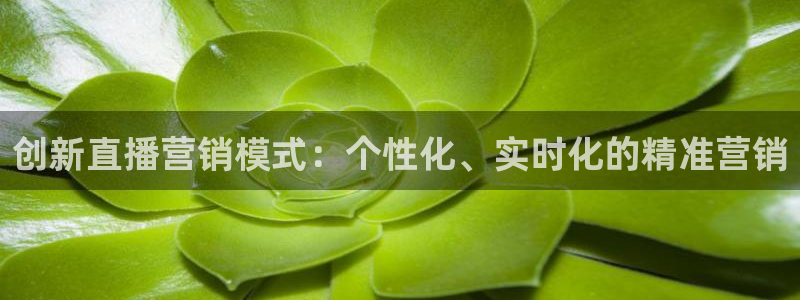 熊猫tv直播：创新直播营销模式：个性化、实时化的精准营销
