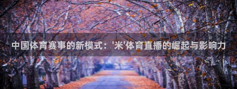 熊猫体育公园：中国体育赛事的新模式：\'米\'体育直播的崛起与影响力