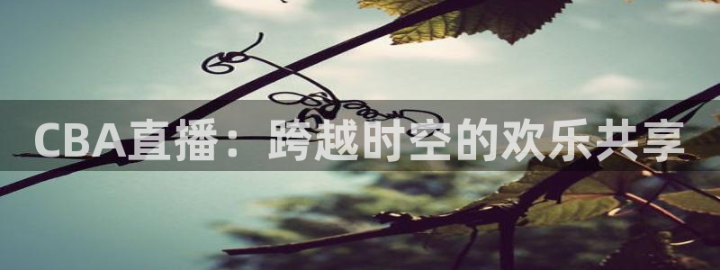 熊猫直播app：CBA直播：跨越时空的欢乐共享
