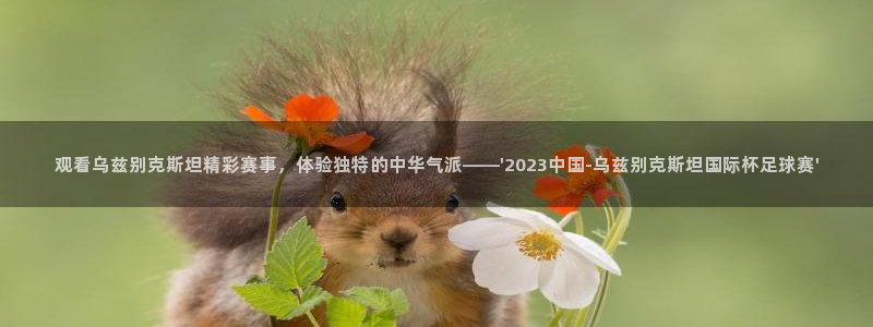 熊猫跳舞视频：观看乌兹别克斯坦精彩赛事，体验独特的中华气派——\'2023中国-乌兹别克斯坦国际杯足球赛\'