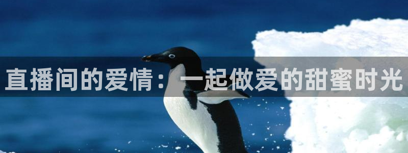 熊猫官网在线直播：直播间的爱情：一起做爱的甜蜜时光