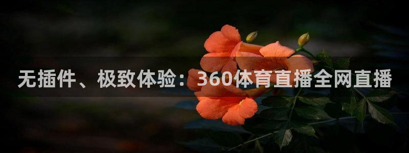熊猫体育直播：无插件、极致体验：360体育直播全网直播