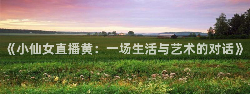 熊猫体育网址：《小仙女直播黄：一场生活与艺术的对话》