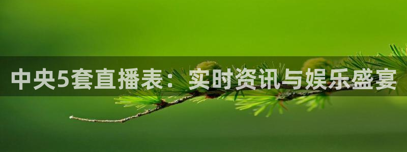 熊猫体育直播欢度2026进.来就送.org：中央5套直播表：实时资讯与娱乐盛宴