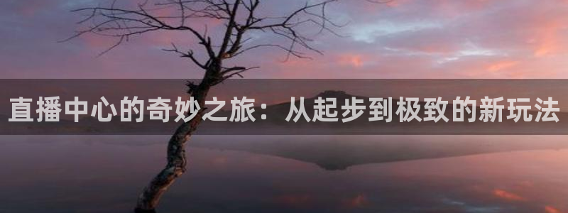 熊猫体育直播免费观看：直播中心的奇妙之旅：从起步到极致的新玩法
