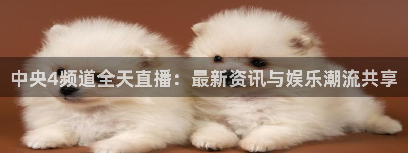 熊猫体育直播nba：中央4频道全天直播：最新资讯与娱乐潮流共享