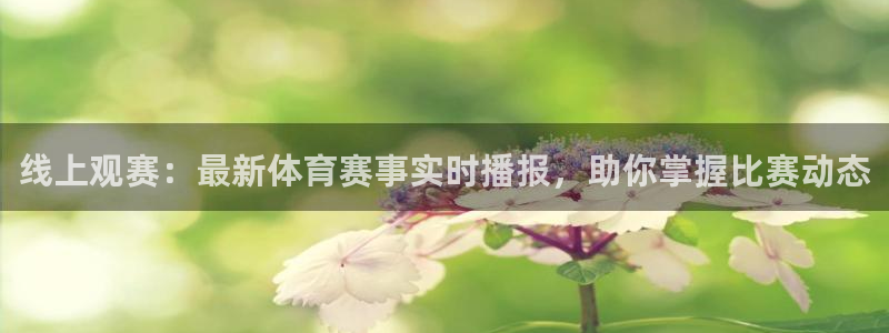 熊猫体育直播新版.新网页.org：线上观赛：最新体育赛事实时播报，助你掌握比赛动态