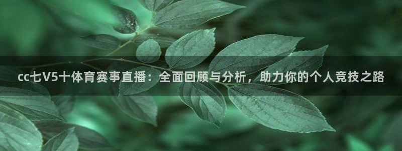 熊猫直播app下载：cc七V5十体育赛事直播：全面回顾与分析，助力你的个人竞技之路