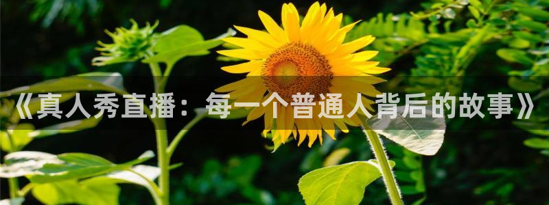 熊猫体育官网：《真人秀直播：每一个普通人背后的故事》