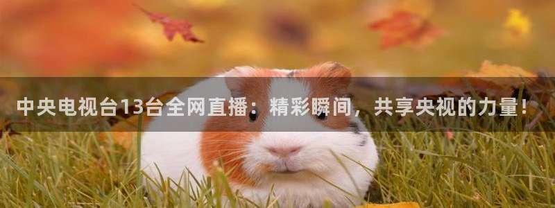 熊猫体育手机版下载：中央电视台13台全网直播：精彩瞬间，共享央视的力量！